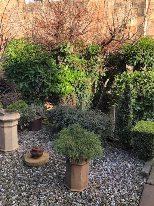 Stirling Garden Apartment Dış mekan fotoğraf